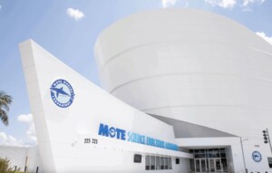 mote sea aquarium