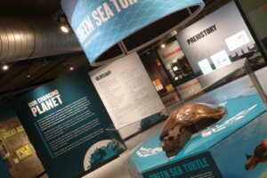 thinktank birmingham